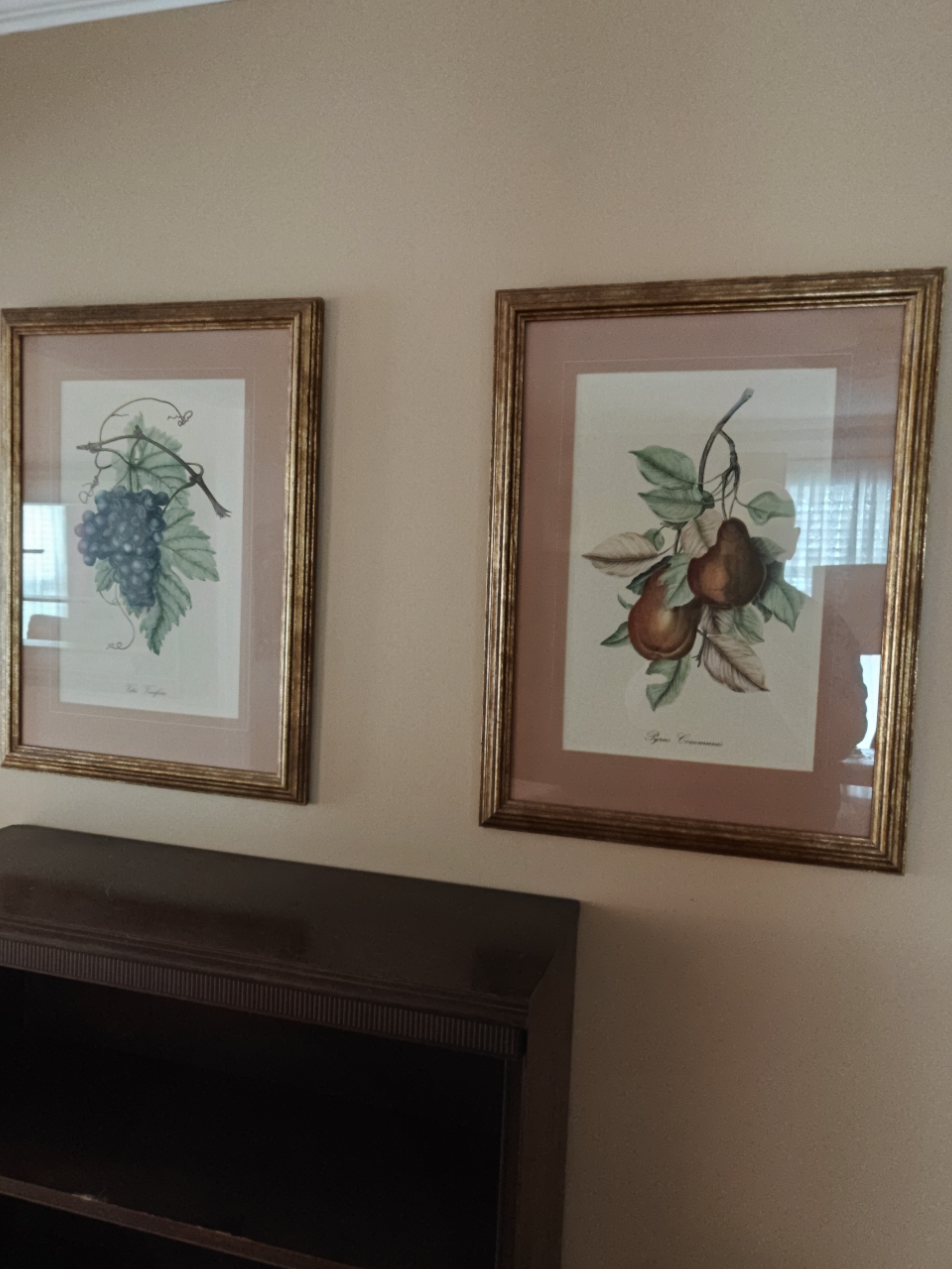 Pair of Framed Botanical Prints